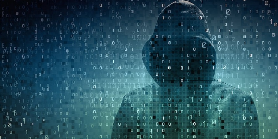 image_2023-01-31_08-37-20