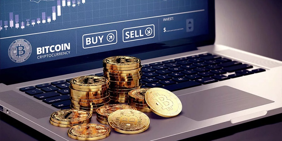 image_2023-03-23_11-49-22