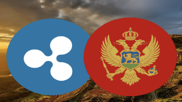 image_2023-04-12_10-30-42