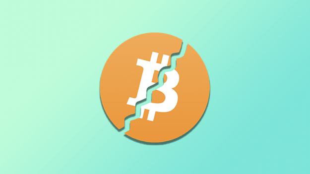 image_2023-08-08_10-43-28