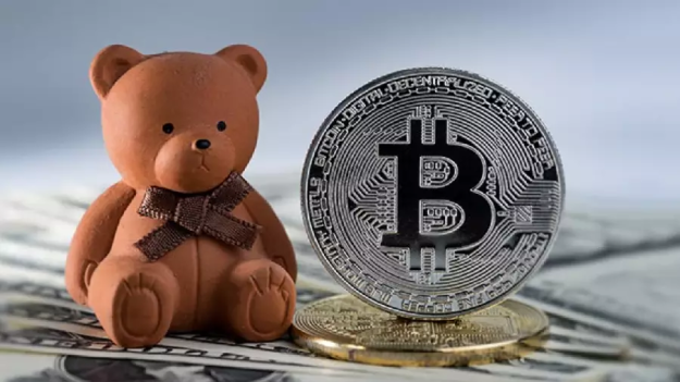 image_2023-09-12_14-31-24