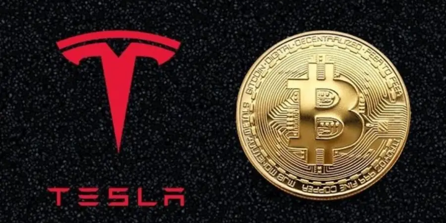 image_2026-01-30_12-18-36