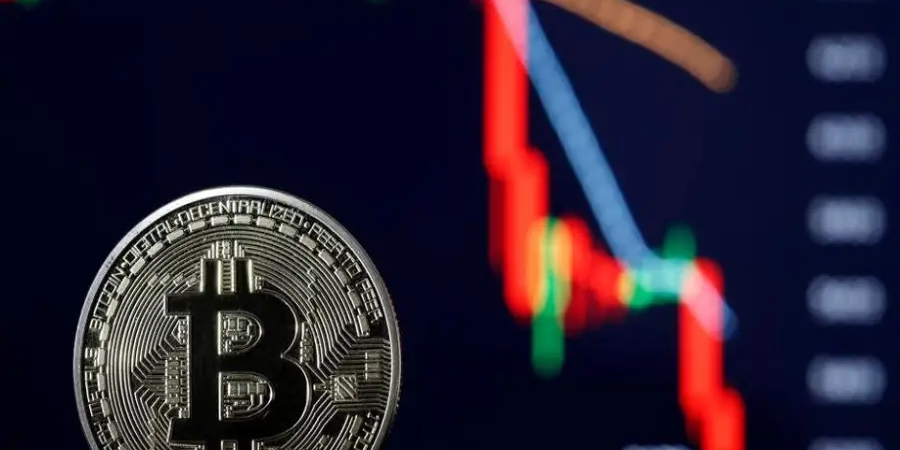 image_2026-02-23_10-10-50